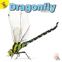 Cover Dragonfly
