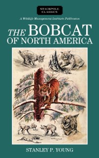 Cover Bobcat of North America