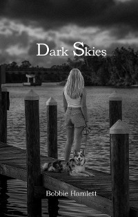 Cover Dark Skies