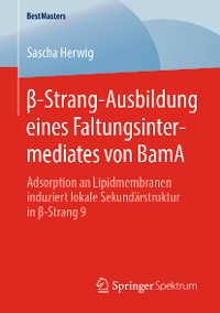 Cover β-Strang-Ausbildung eines Faltungsintermediates von BamA