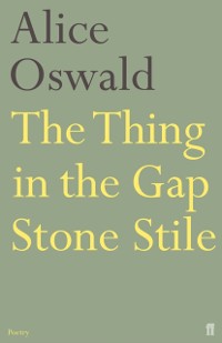 Cover The Thing in the Gap Stone Stile
