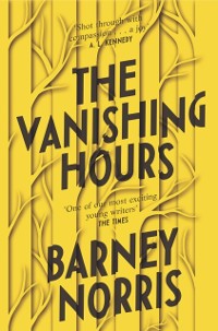 Cover The Vanishing Hours
