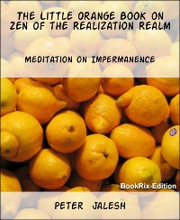 Cover The Little Orange Book on Zen of the Realization Realm