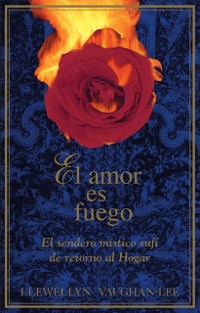 Cover amor es fuego