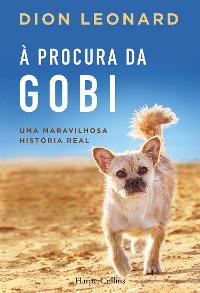 Cover À procura da gobi