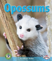 Cover Opossums