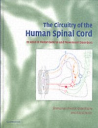 Cover Circuitry of the Human Spinal Cord