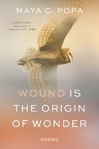 Cover Wound Is the Origin of Wonder: Poems