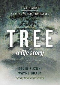 Cover Tree