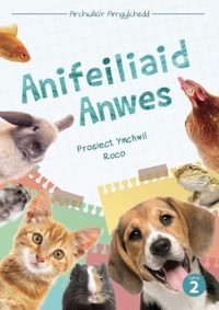Cover Cyfres Archwilio''r Amgylchedd: Anifeiliaid Anwes
