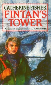 Cover Fintan's Tower