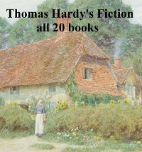 Cover Thomas Hardy's Fiction: all 20 books