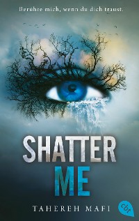 Cover Shatter Me