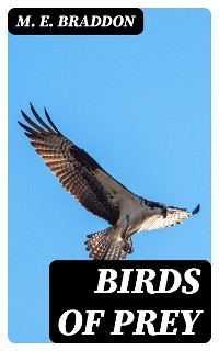Cover Birds of Prey
