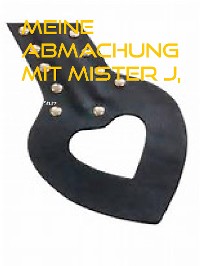 Cover Meine Abmachung mit Mister J,