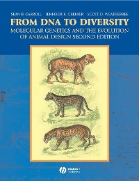 Cover From DNA to Diversity