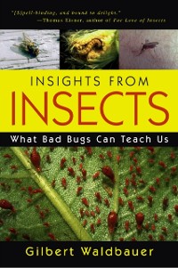 Cover Insights From Insects