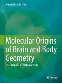Cover Molecular Origins of Brain and Body Geometry