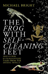 Cover The Frog with Self-Cleaning Feet