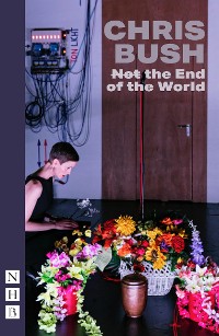 Cover (Not) the End of the World (NHB Modern Plays)