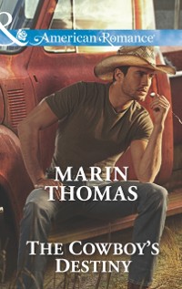 Cover Cowboy's Destiny (Mills & Boon American Romance) (The Cash Brothers, Book 4)