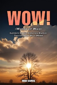 Cover WOW: Words Of Waid