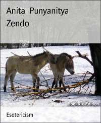 Cover Zendo