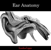 Cover Ear Anatomy