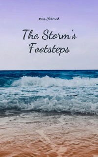 Cover The Storm's Footsteps