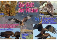 Cover Die Welt der Milane Teil 2