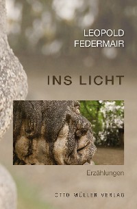 Cover Ins Licht