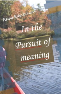 Cover In Pursuit of Meaning