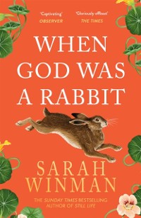 Cover When God was a Rabbit