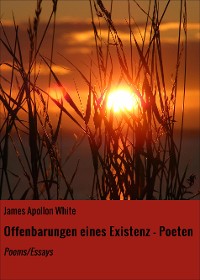 Cover Offenbarungen eines Existenz - Poeten