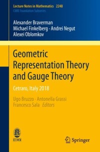Cover Geometric Representation Theory and Gauge Theory