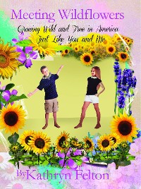 Cover Meeting Wildflowers