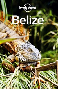 Cover Lonely Planet Belize