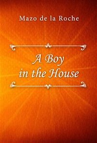 Cover A Boy in the House