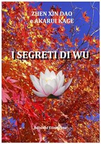 Cover I segreti di wu 