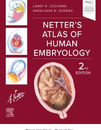 Cover Netter's Atlas of Human Embryology - E-BOOK