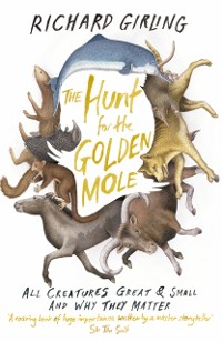 Cover Hunt for the Golden Mole