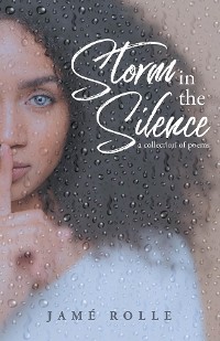 Cover Storm in the Silence