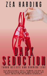 Cover Dark Seduction