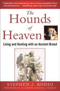 Cover Hounds of Heaven