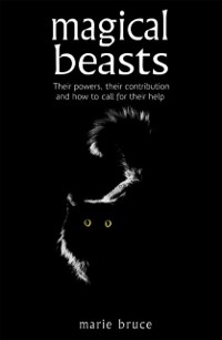 Cover Magical Beasts