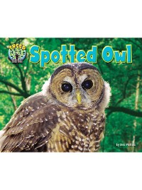 Cover Spotted Owl