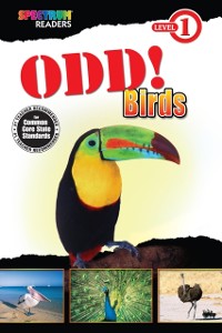 Cover Odd! Birds