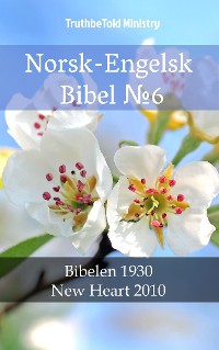 Cover Norsk-Engelsk Bibel №6