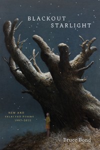 Cover Blackout Starlight