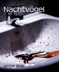 Cover Nachtvögel